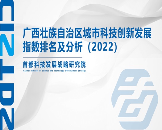 外国老太太肥操逼i【成果发布】广西壮族自治区城市科技创新发展指数排名及分析（2022）